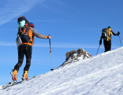 Alpine Skiing