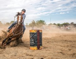 Chilean Rodeo