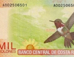 Costa Rican Colón