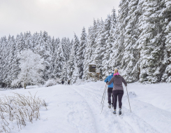 Cross Country Skiing