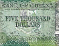 Guyanaese Dollar