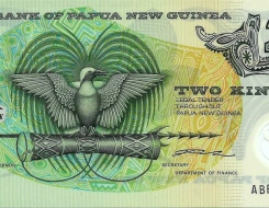 Papua New Guinean Kina