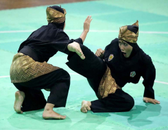 Pencak silat