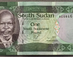 Sudanese Pound