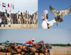 Horse Racing, Camel Racing, Falconry