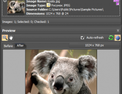 Imbatch Batch Image Editor