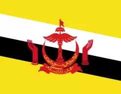 Brunei Colors