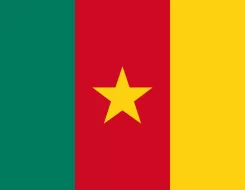 Cameroon Colors