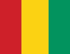 Guinea Colors