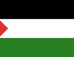 Palestine Colors
