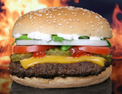 Beef Patty Burger