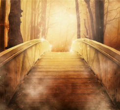 Fantasy Sun Bridge