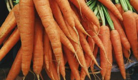 Orange Carrots