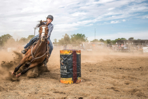 Chilean Rodeo