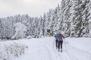 Cross Country Skiing