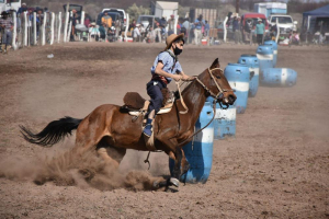 Destrezas Criollas