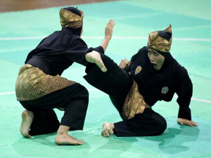 Pencak silat