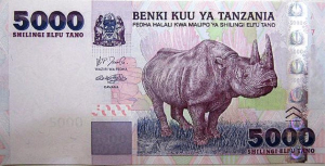 Tanzanian Shilling