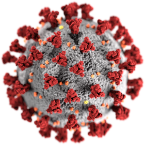 What is a Coronavirus?