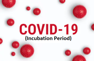 Time in Which COVID-19 Shows its Effects (Incubation Period)