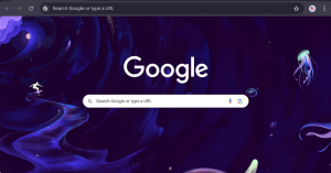 Google Chrome Interface