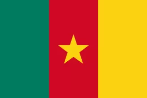 Cameroon Colors