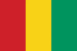 Guinea Colors