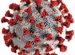 What is a Coronavirus?