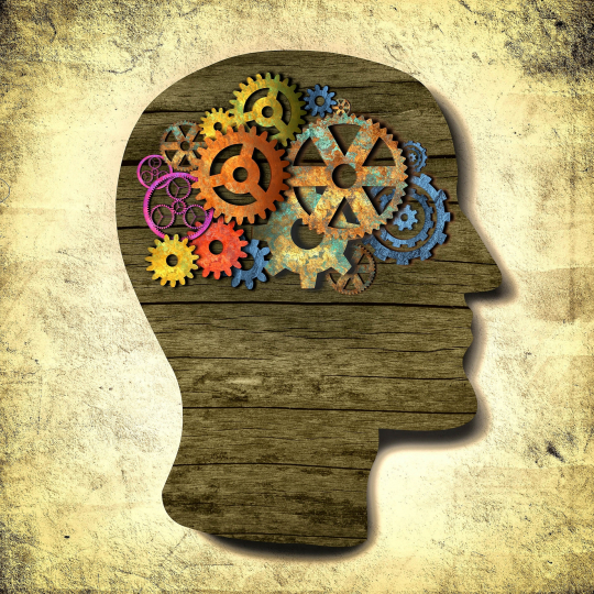 Gears in Brain